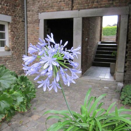 Lisa'S Weelde Guest House Tongeren Luaran gambar